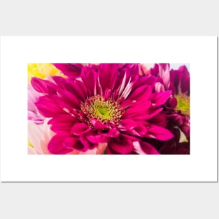 Beautiful Bouquet with Pink Flowers Posters and Art